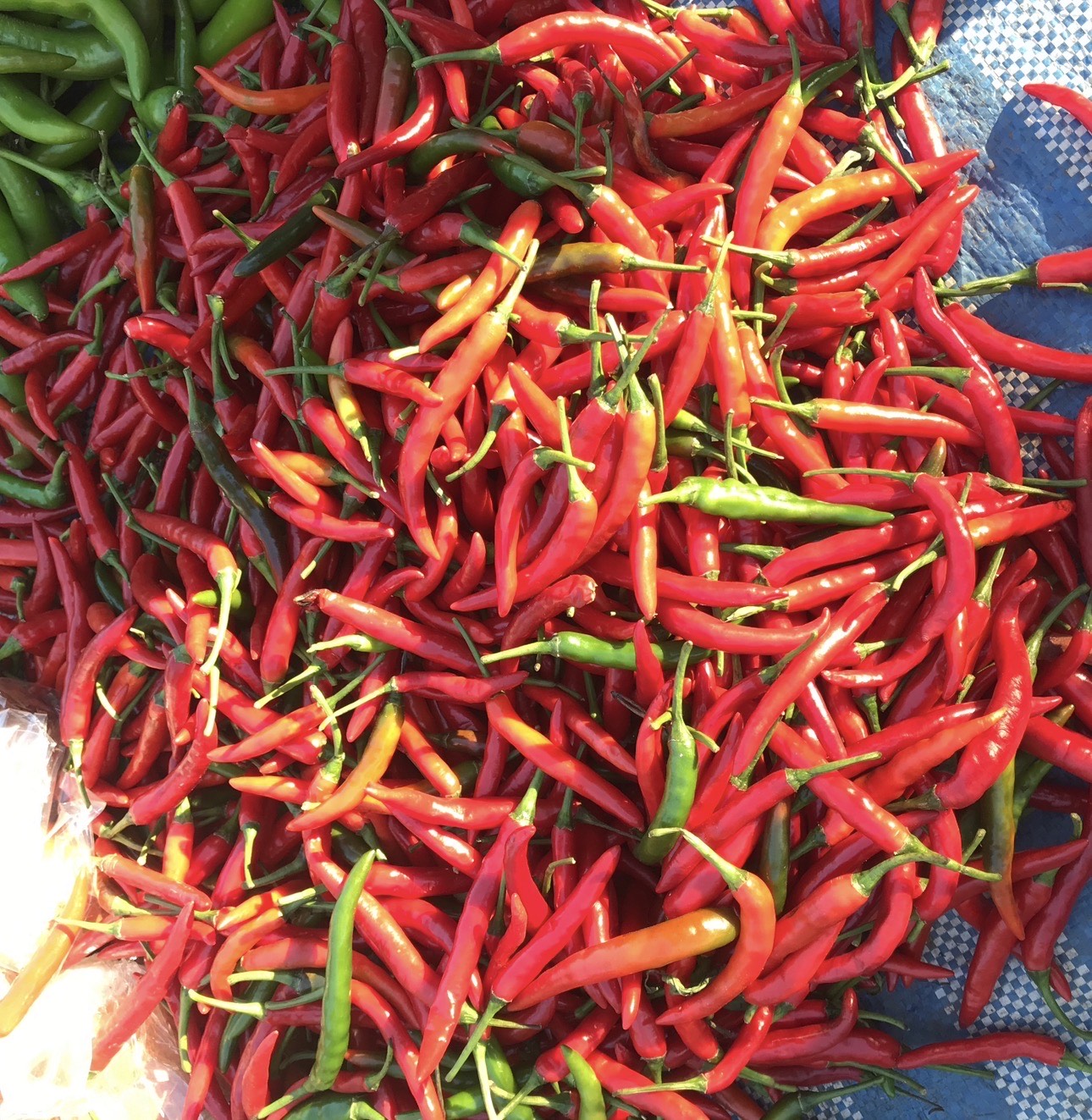 RECIPE: HOW TO MAKE OUR BEST-SELLING FORBIDDEN BOWL