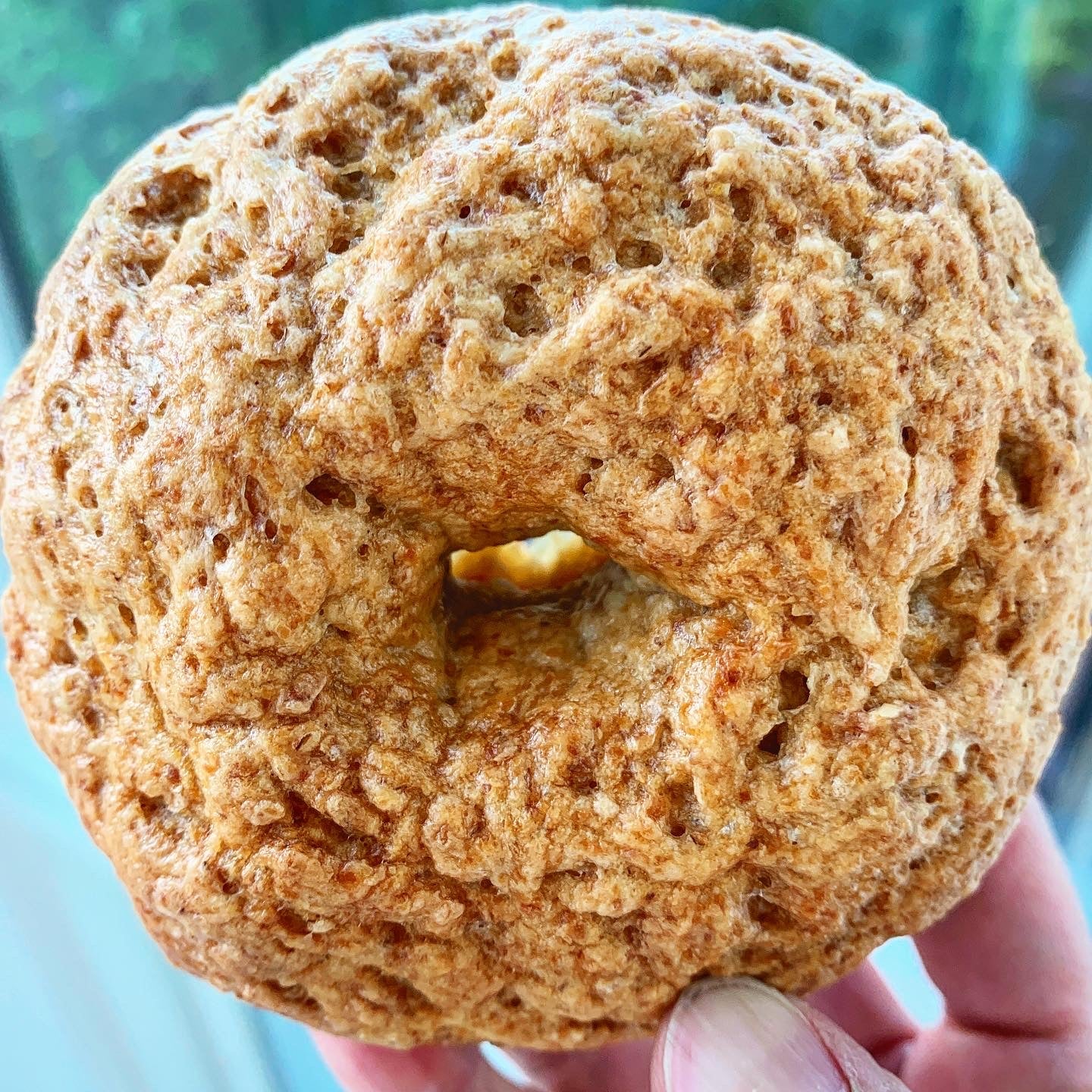 Organic Oat Flax Bagels