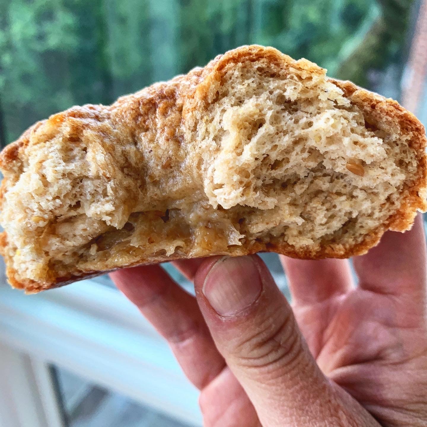 Organic Oat Flax Bagels