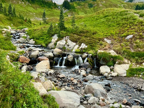 North Cascades, Mount Rainier, and Olympic National Parks of Washington State