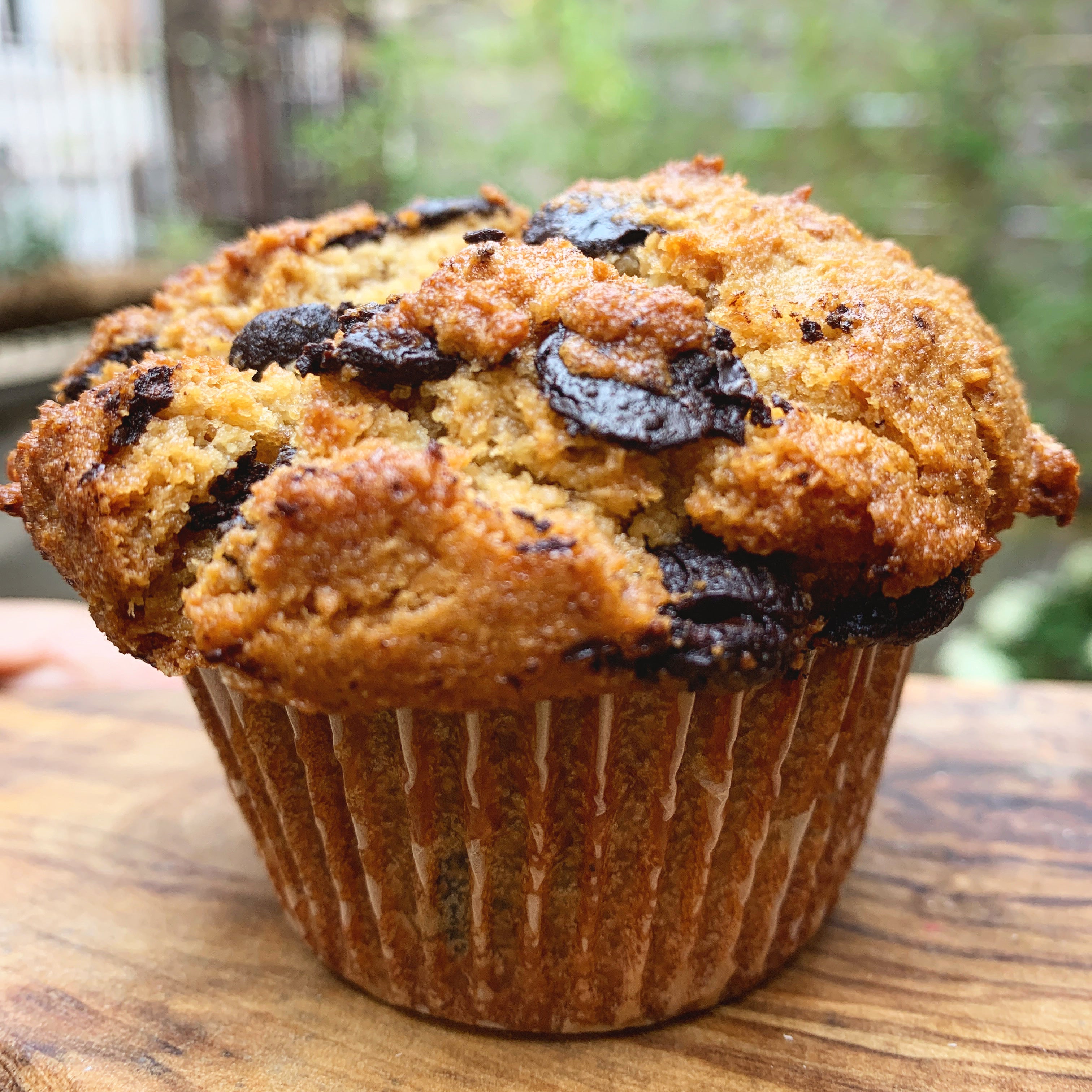 RECORDING: HOW TO MAKE P.S. & Co. PROTEIN PACKED MUFFINS