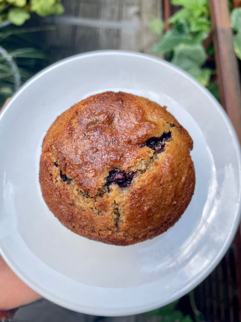 RECORDING: HOW TO MAKE P.S. & Co. PROTEIN PACKED MUFFINS