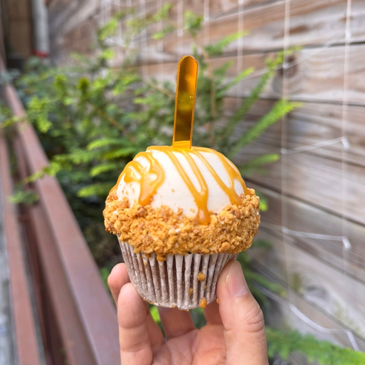 ORGANIC THANKSGIVING CUPCAKES