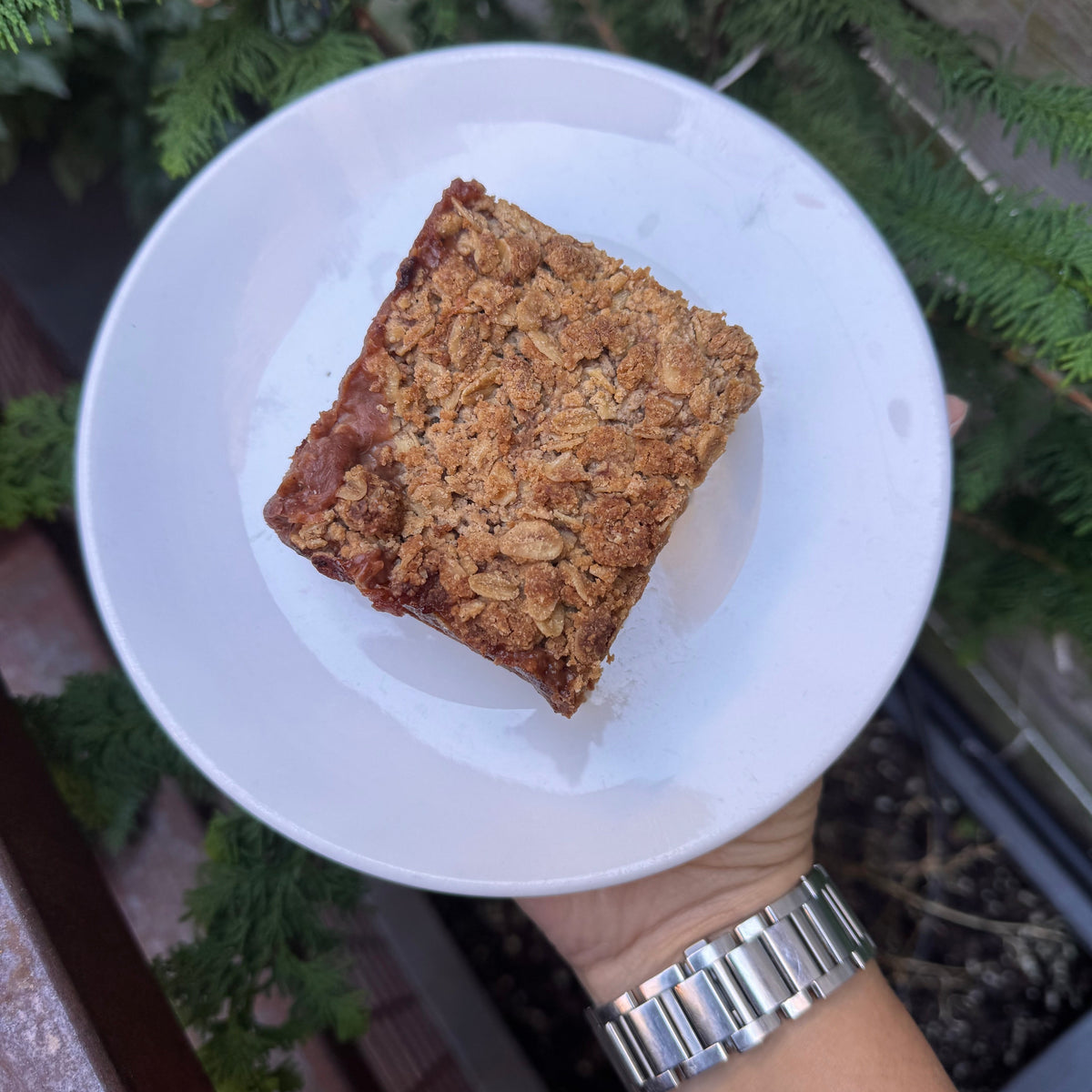 ORGANIC AUTUMN PIE BARS